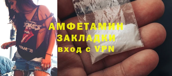 PSILOCYBIN Алзамай