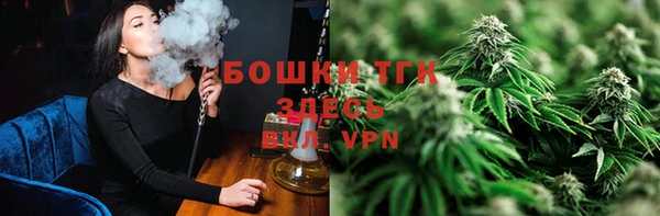 PSILOCYBIN Алзамай