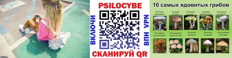 Псилоцибиновые грибы MAGIC MUSHROOMS  хочу   даркнет официальный сайт  Лебедянь 