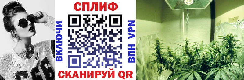 Шишки марихуана Amnesia  гидра сайт  Лебедянь 
